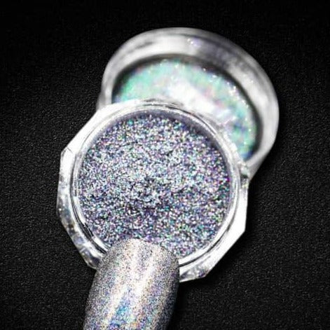 Glitter Holo Silver 0.08 #0193 (2gr)