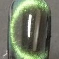 Magnetic 5D The Green-Eyed Monster #0308 (0.5gr)